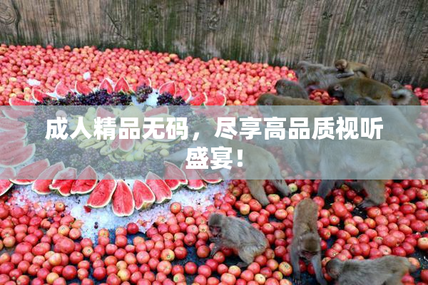 成人精品无码，尽享高品质视听盛宴！
