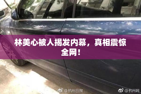 林美心被人揭发内幕，真相震惊全网！