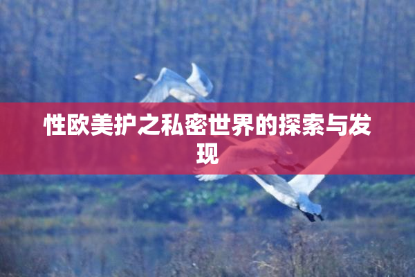 性欧美护之私密世界的探索与发现