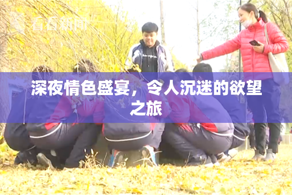 深夜情色盛宴，令人沉迷的欲望之旅