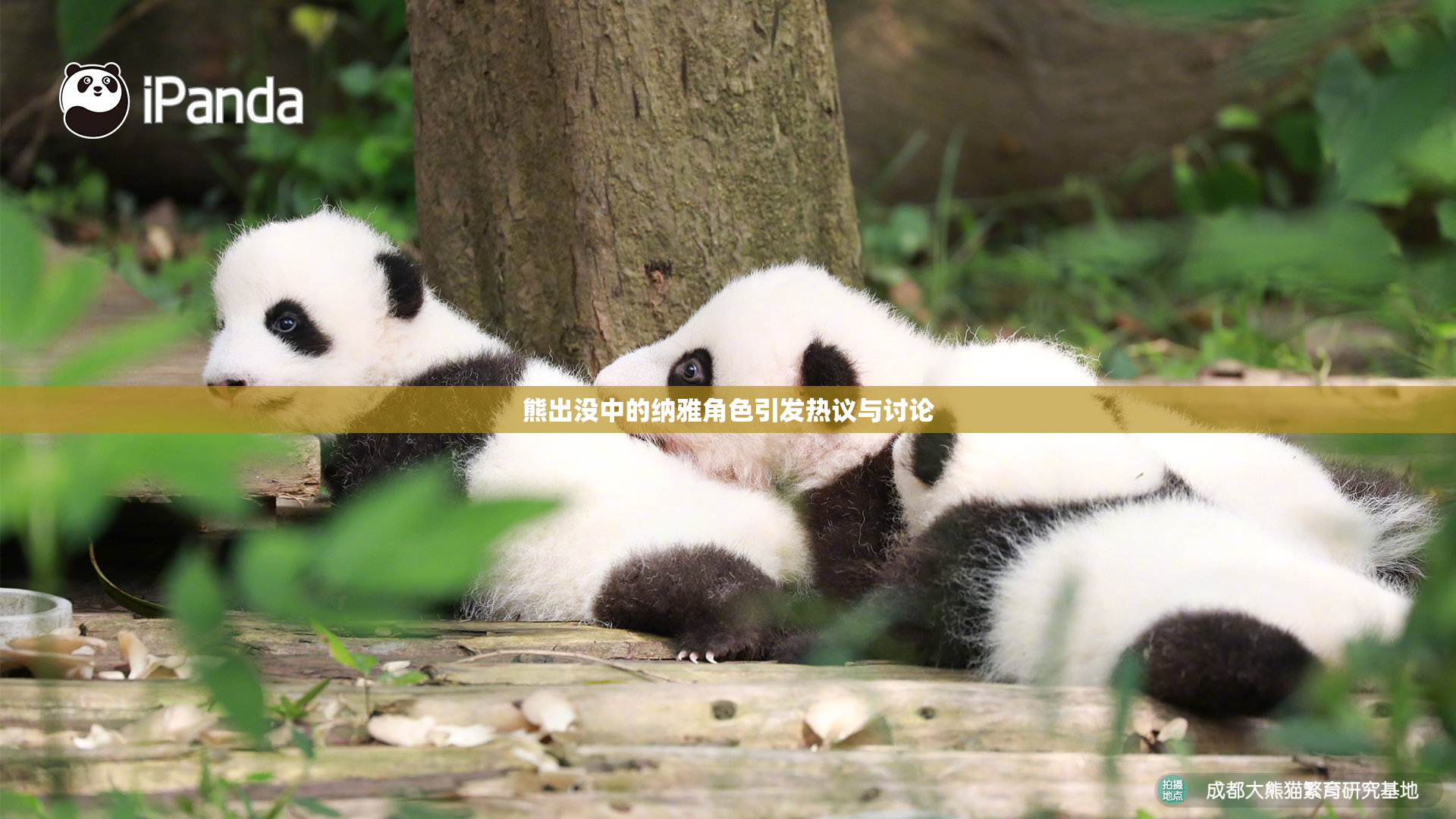 熊出没中的纳雅角色引发热议与讨论