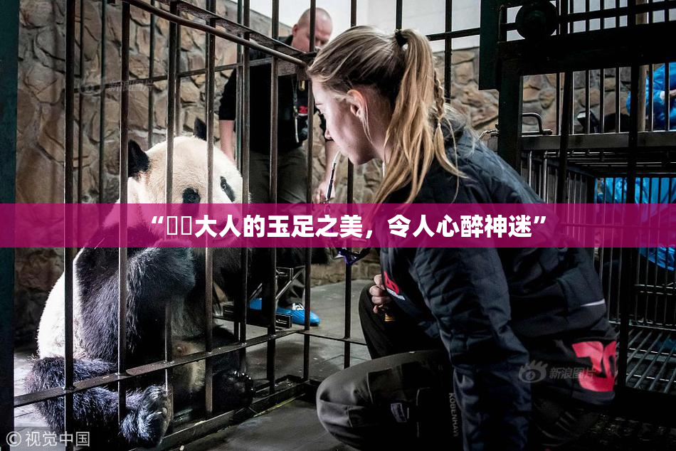 “芃芃大人的玉足之美，令人心醉神迷”