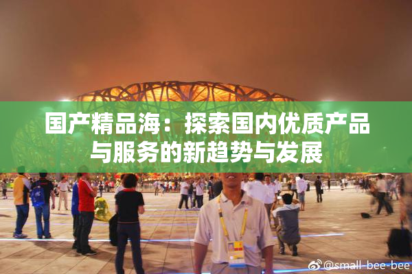 国产精品海：探索国内优质产品与服务的新趋势与发展