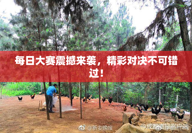 每日大赛震撼来袭，精彩对决不可错过！