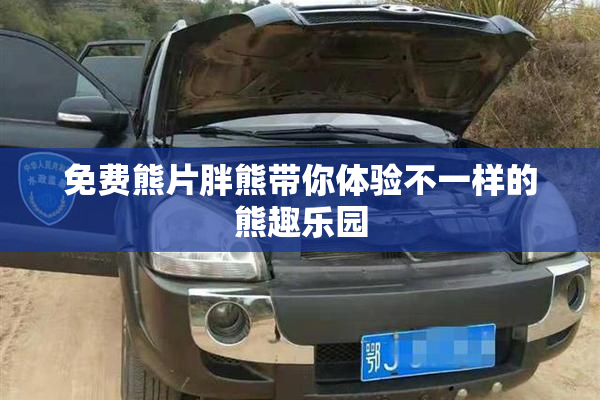 免费熊片胖熊带你体验不一样的熊趣乐园