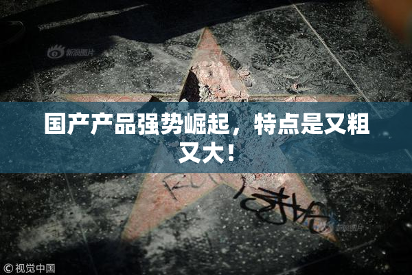 国产产品强势崛起，特点是又粗又大！