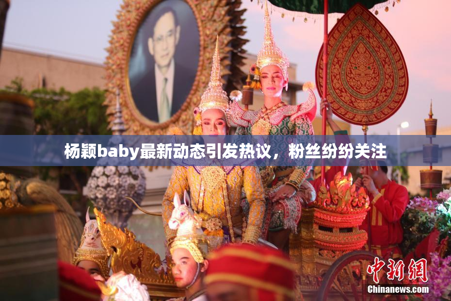 杨颖baby最新动态引发热议，粉丝纷纷关注