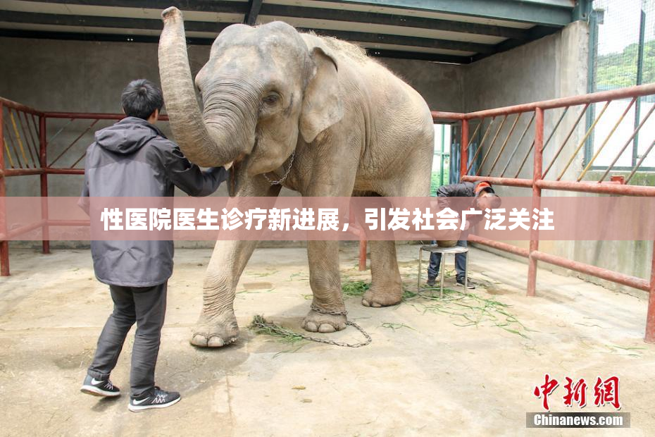 性医院医生诊疗新进展，引发社会广泛关注