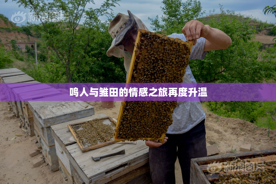 鸣人与雏田的情感之旅再度升温