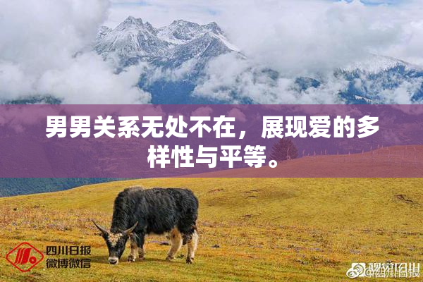 男男关系无处不在，展现爱的多样性与平等。