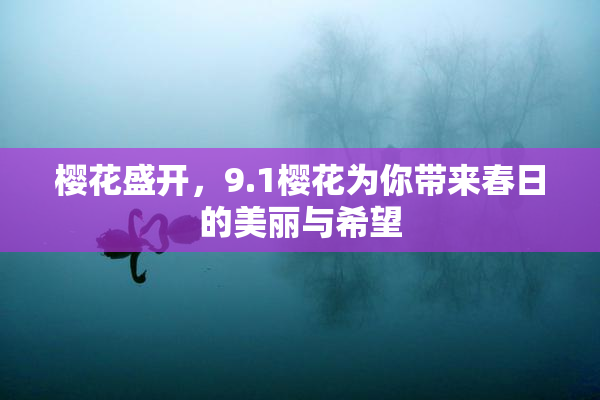 樱花盛开，9.1樱花为你带来春日的美丽与希望
