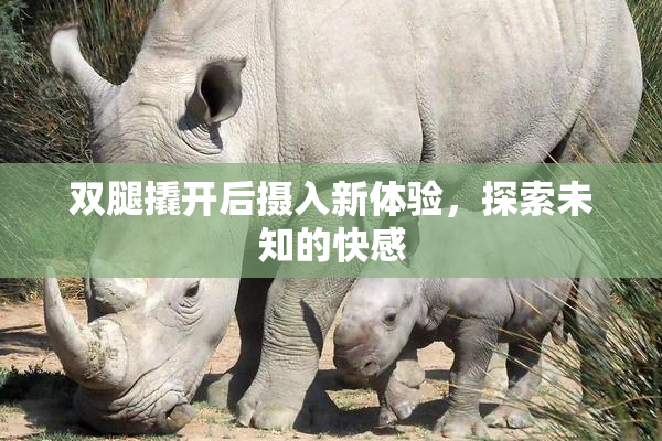 双腿撬开后摄入新体验，探索未知的快感