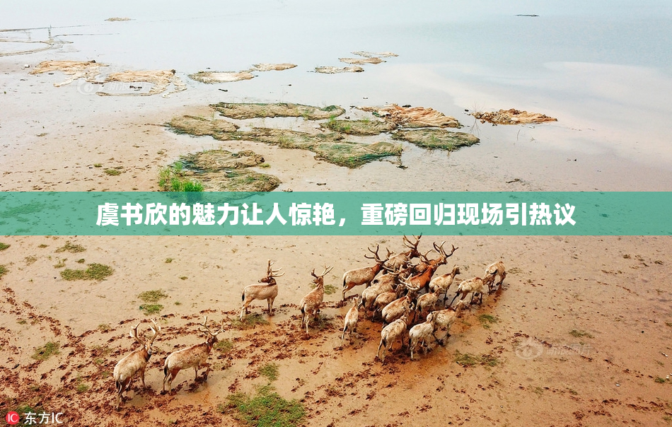 虞书欣的魅力让人惊艳，重磅回归现场引热议