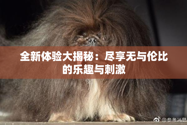 全新体验大揭秘：尽享无与伦比的乐趣与刺激