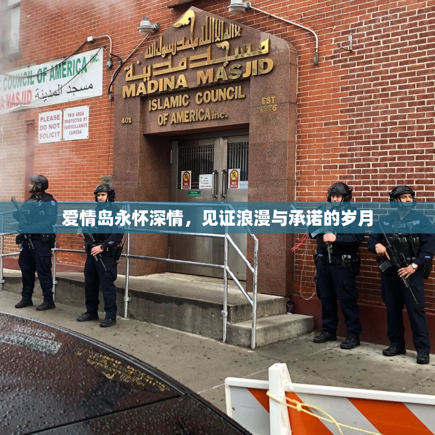 爱情岛永怀深情，见证浪漫与承诺的岁月