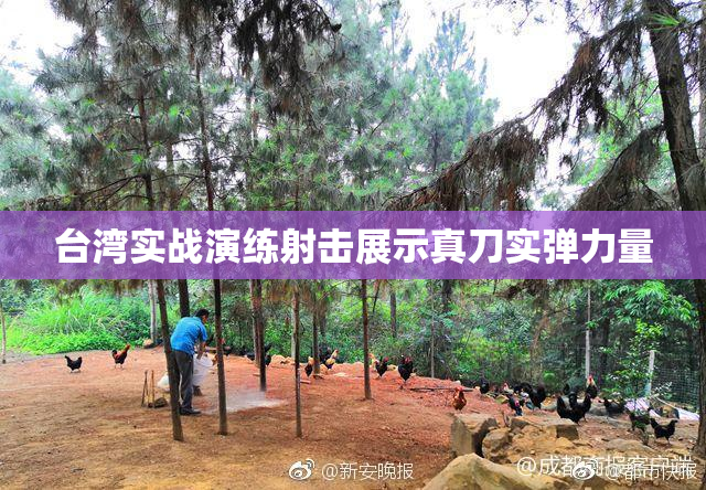 台湾实战演练射击展示真刀实弹力量