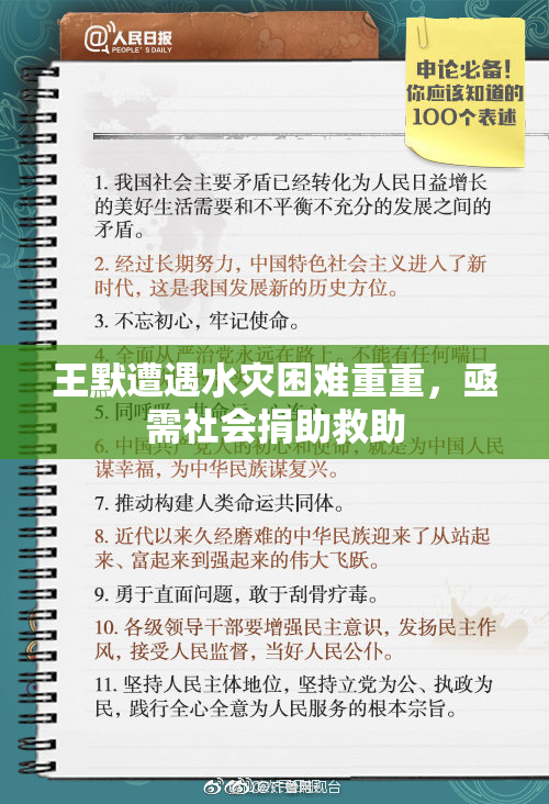王默遭遇水灾困难重重，亟需社会捐助救助