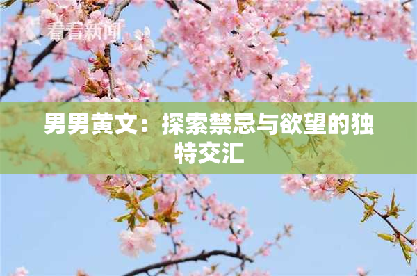 男男黄文：探索禁忌与欲望的独特交汇