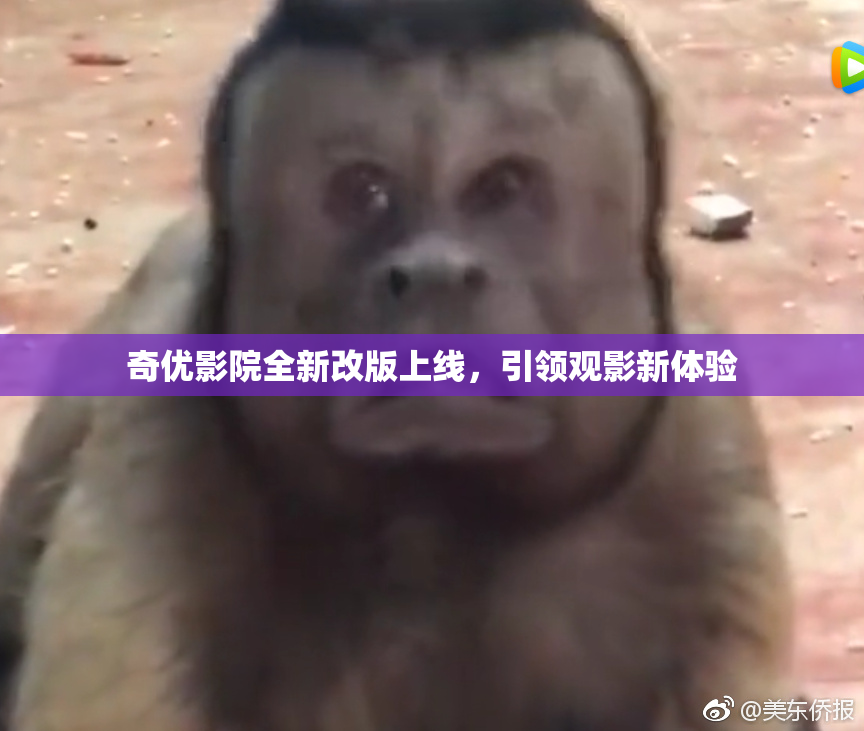 奇优影院全新改版上线，引领观影新体验