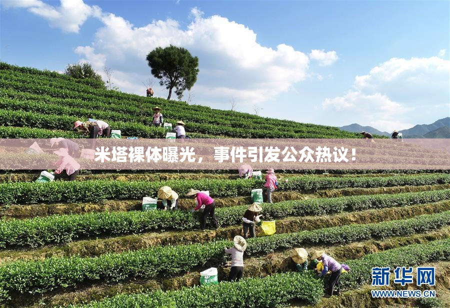 米塔裸体曝光，事件引发公众热议！