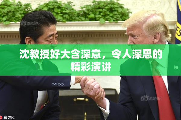 沈教授好大含深意，令人深思的精彩演讲