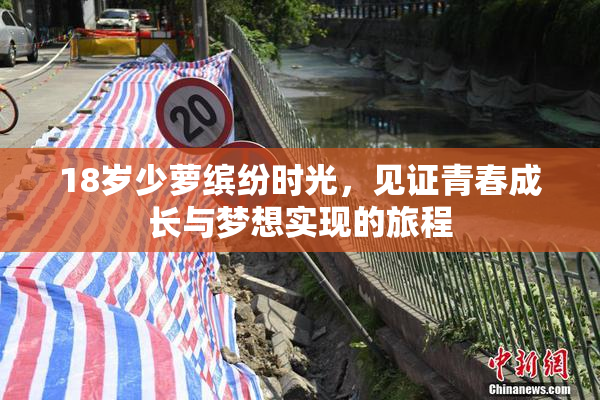 18岁少萝缤纷时光，见证青春成长与梦想实现的旅程