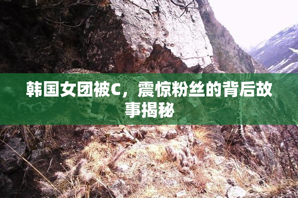韩国女团被C，震惊粉丝的背后故事揭秘