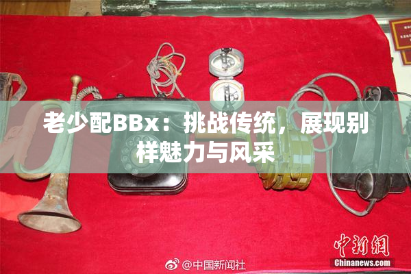 老少配BBx：挑战传统，展现别样魅力与风采
