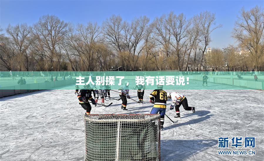 主人别揉了，我有话要说！