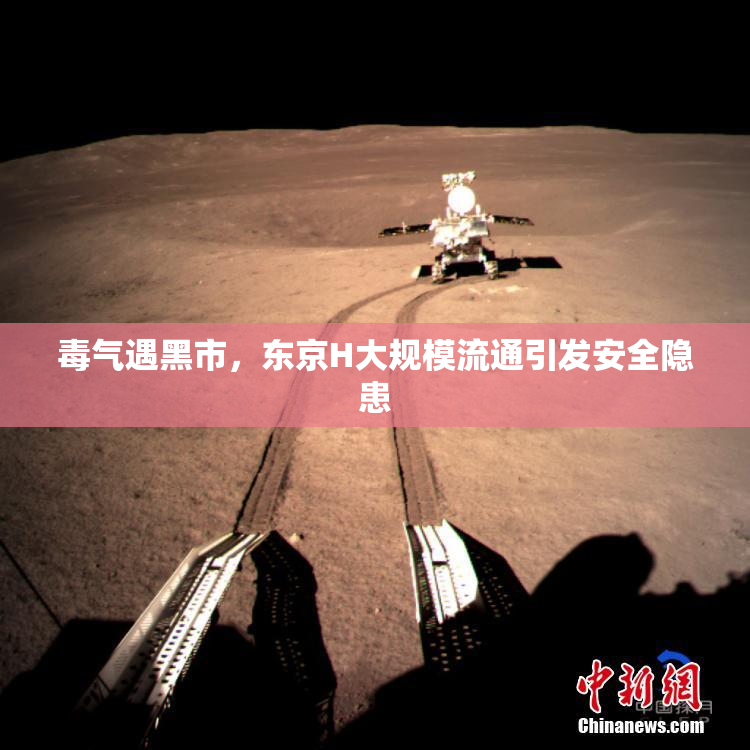 毒气遇黑市，东京H大规模流通引发安全隐患