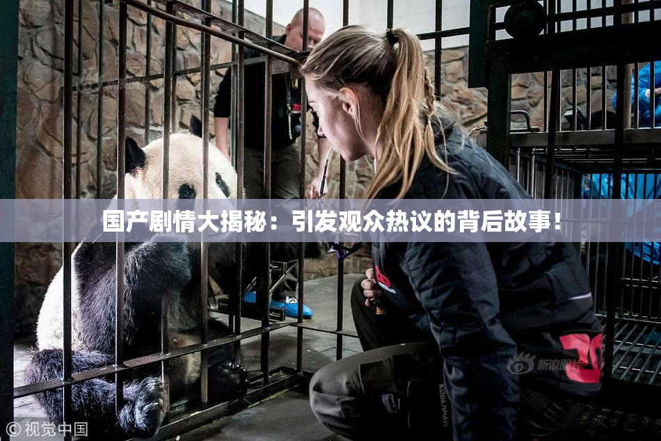 国产剧情大揭秘：引发观众热议的背后故事！