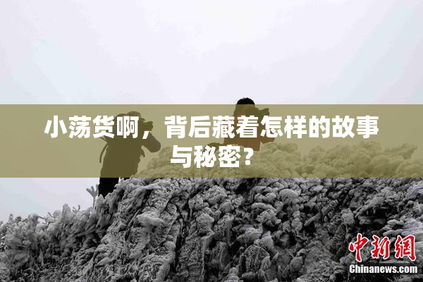 小荡货啊，背后藏着怎样的故事与秘密？