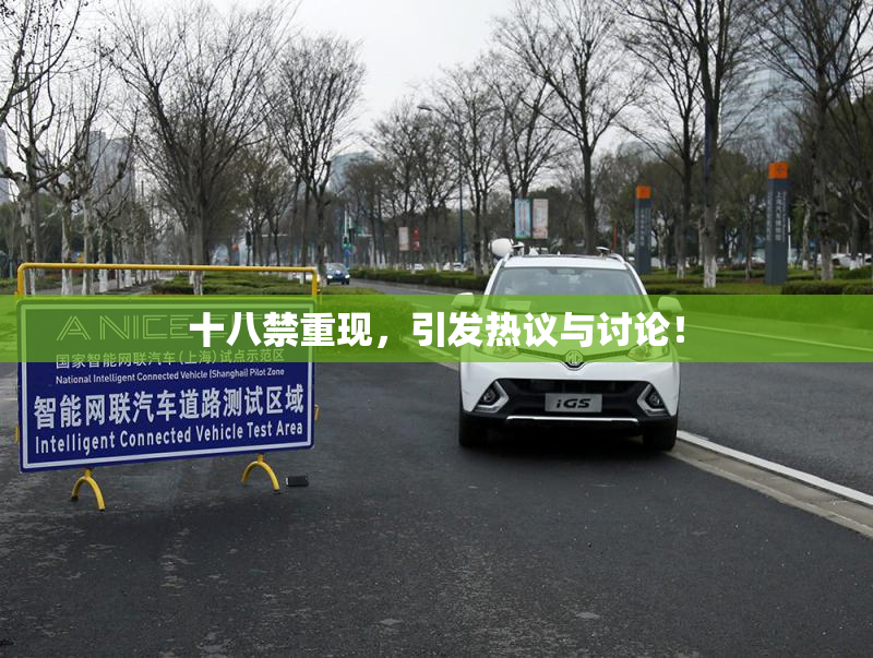 十八禁重现，引发热议与讨论！