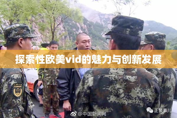 探索性欧美vid的魅力与创新发展