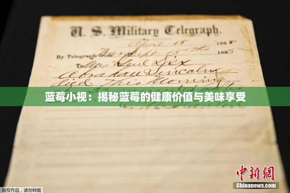 蓝莓小视：揭秘蓝莓的健康价值与美味享受