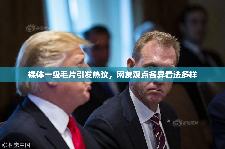 裸体一级毛片引发热议，网友观点各异看法多样