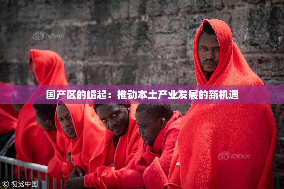 国产区的崛起：推动本土产业发展的新机遇