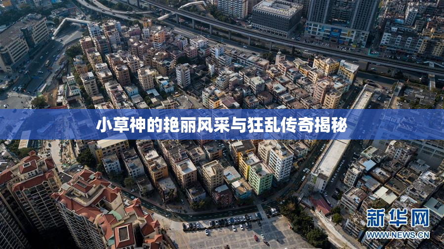 小草神的艳丽风采与狂乱传奇揭秘