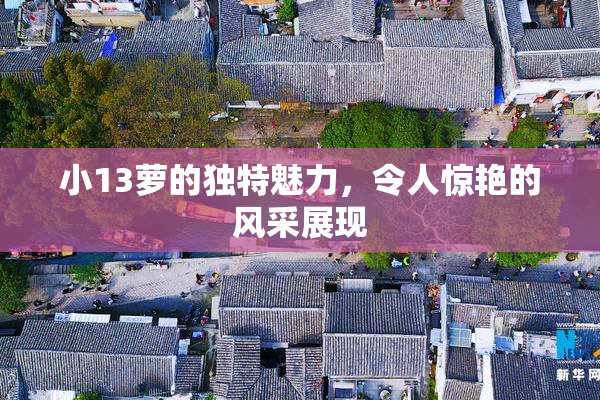 小13萝的独特魅力，令人惊艳的风采展现