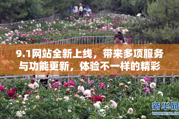 9.1网站全新上线，带来多项服务与功能更新，体验不一样的精彩内容