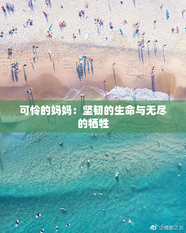 可怜的妈妈：坚韧的生命与无尽的牺牲