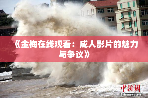 《金梅在线观看：成人影片的魅力与争议》