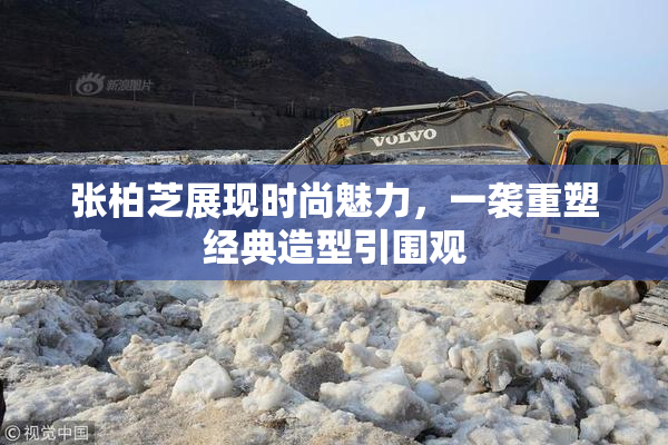 张柏芝展现时尚魅力，一袭重塑经典造型引围观