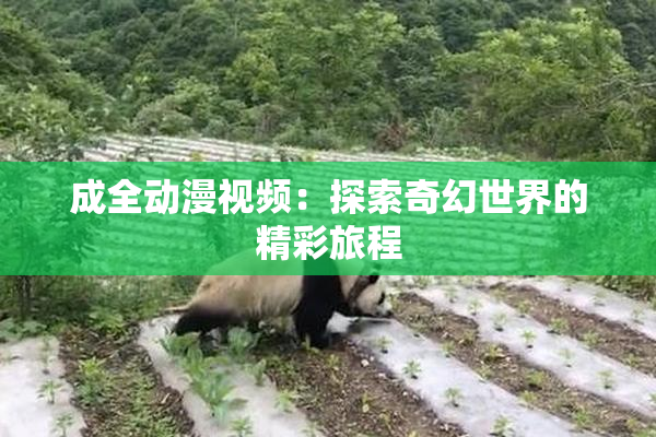 成全动漫视频：探索奇幻世界的精彩旅程