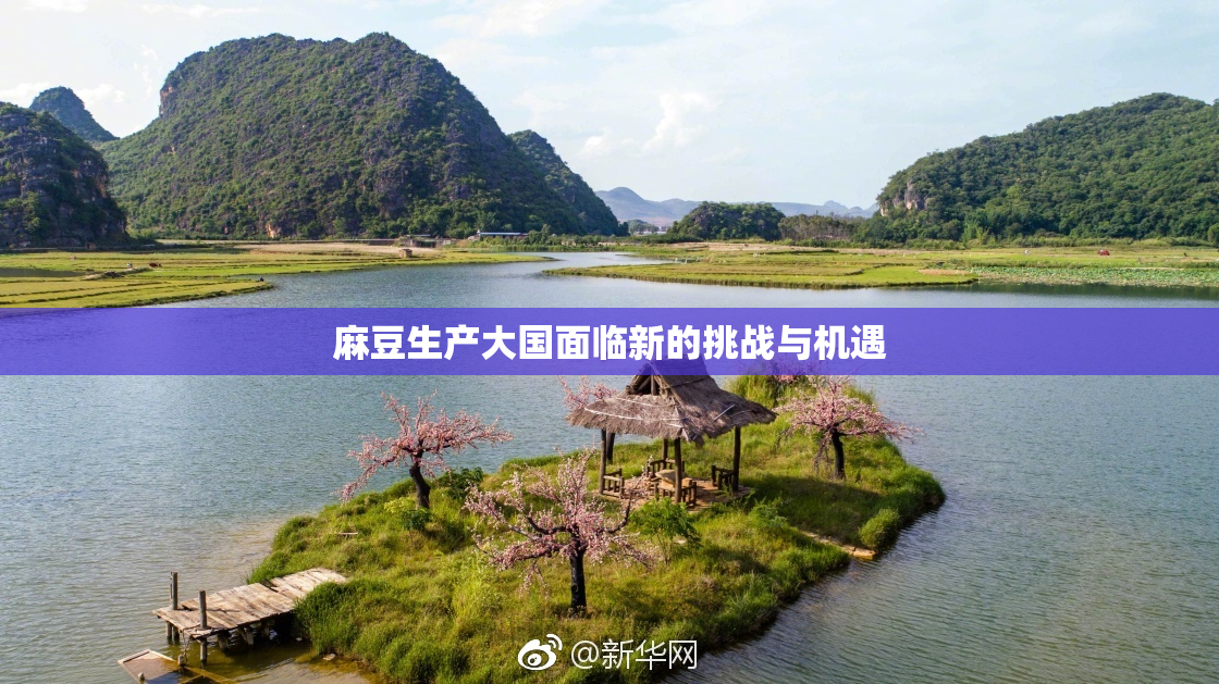 麻豆生产大国面临新的挑战与机遇