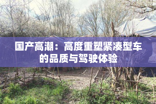 国产高潮：高度重塑紧凑型车的品质与驾驶体验