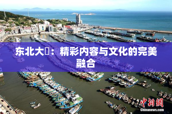 东北大鷄：精彩内容与文化的完美融合