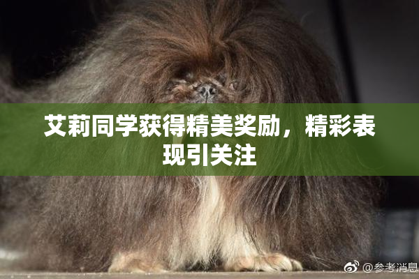 艾莉同学获得精美奖励，精彩表现引关注