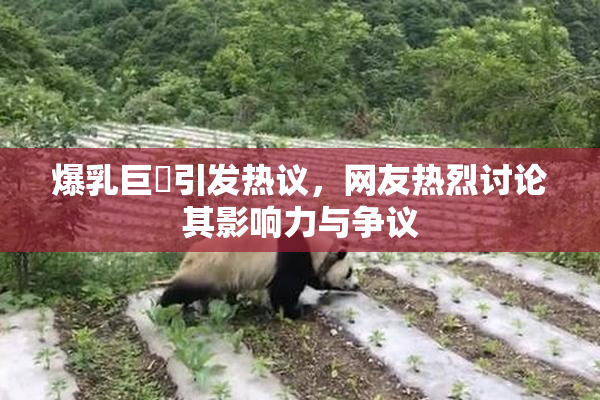 爆乳巨凥引发热议，网友热烈讨论其影响力与争议