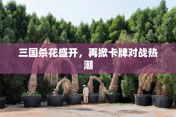 三国杀花盛开，再掀卡牌对战热潮